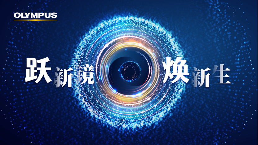 f7961be8-8c39-11ef-b0c1-068d126d88ec.png