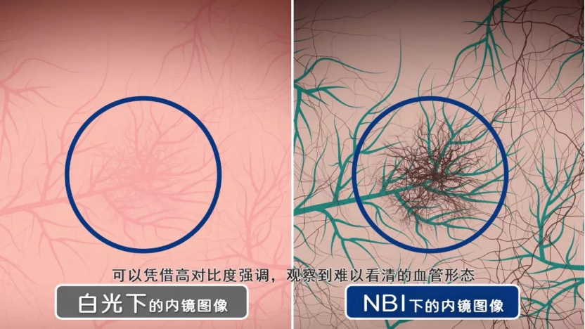 5494bdd0-18e2-11f0-9026-06cbb580096a.png